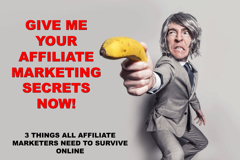 How to do Affiliate Marketing: 3 Things All Affiliate Marketers Need To Survive Online
