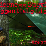 Wilderness Survival Essentials List Every Survivalist Has to Have