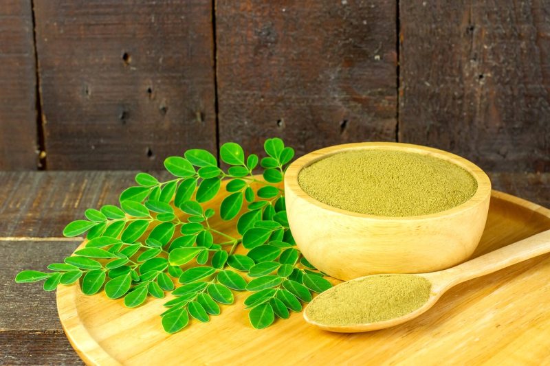 Moringa Oleifera weight loss herbs